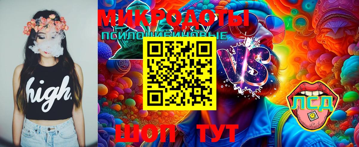 Галлюциногенные грибы Psilocybine cubensis  Галлюциногенные грибы ЛСД  Вход с VPN  Электрогорск 