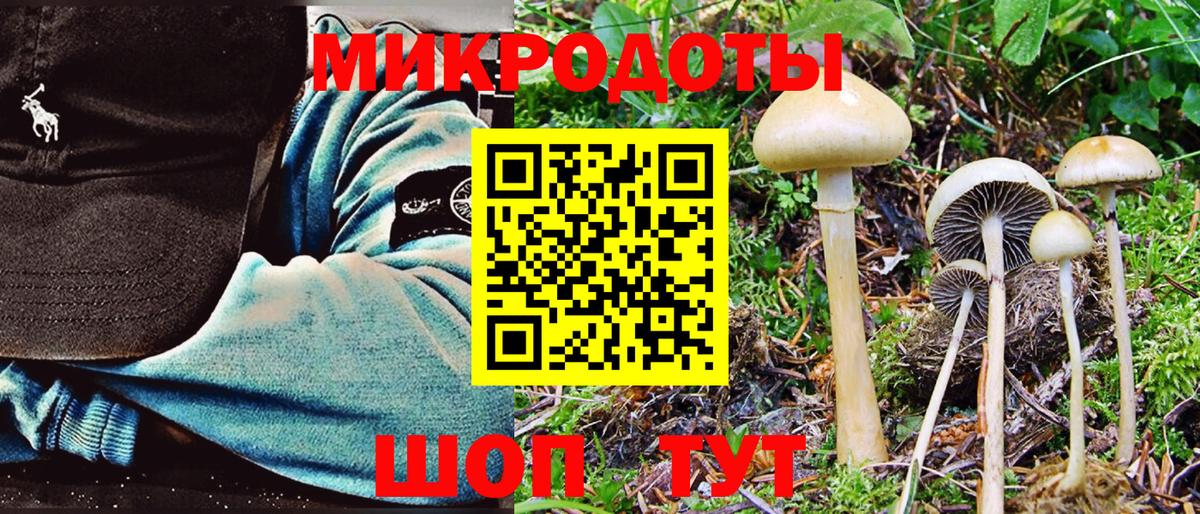 Галлюциногенные грибы ЛСД Электрогорск